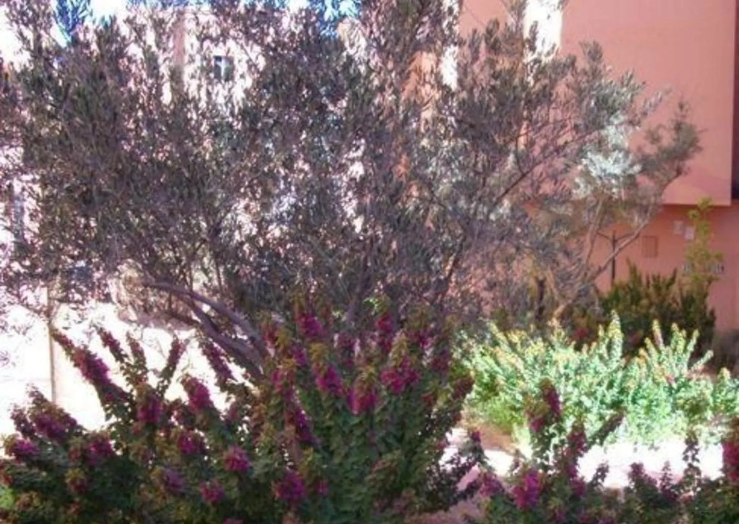 Apartment Schoene Ferienwohnung Mit Balkon Und Bergblick Marrakesh Morocco